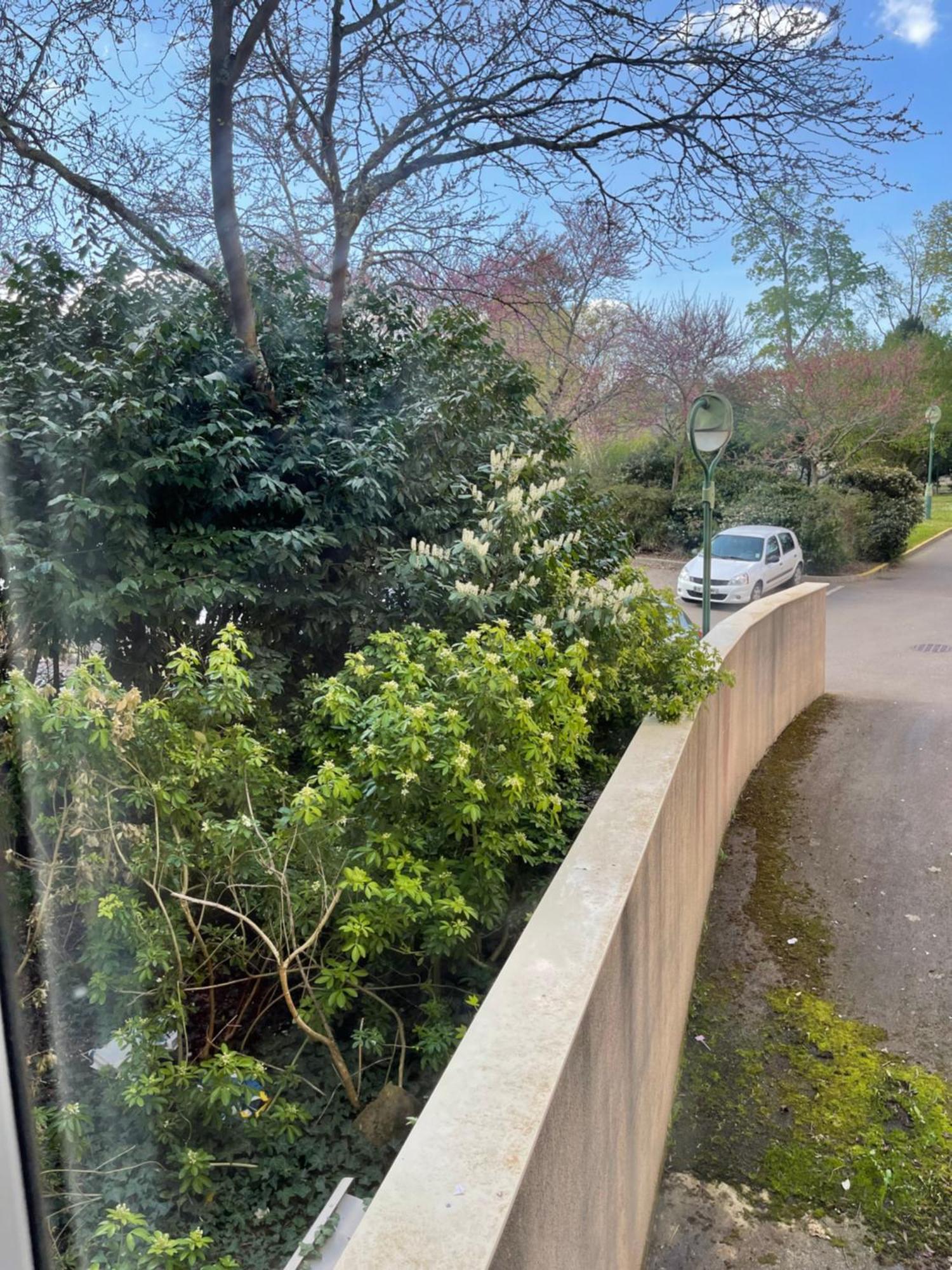 Les Logis De Paray Appartement N2 Extérieur photo